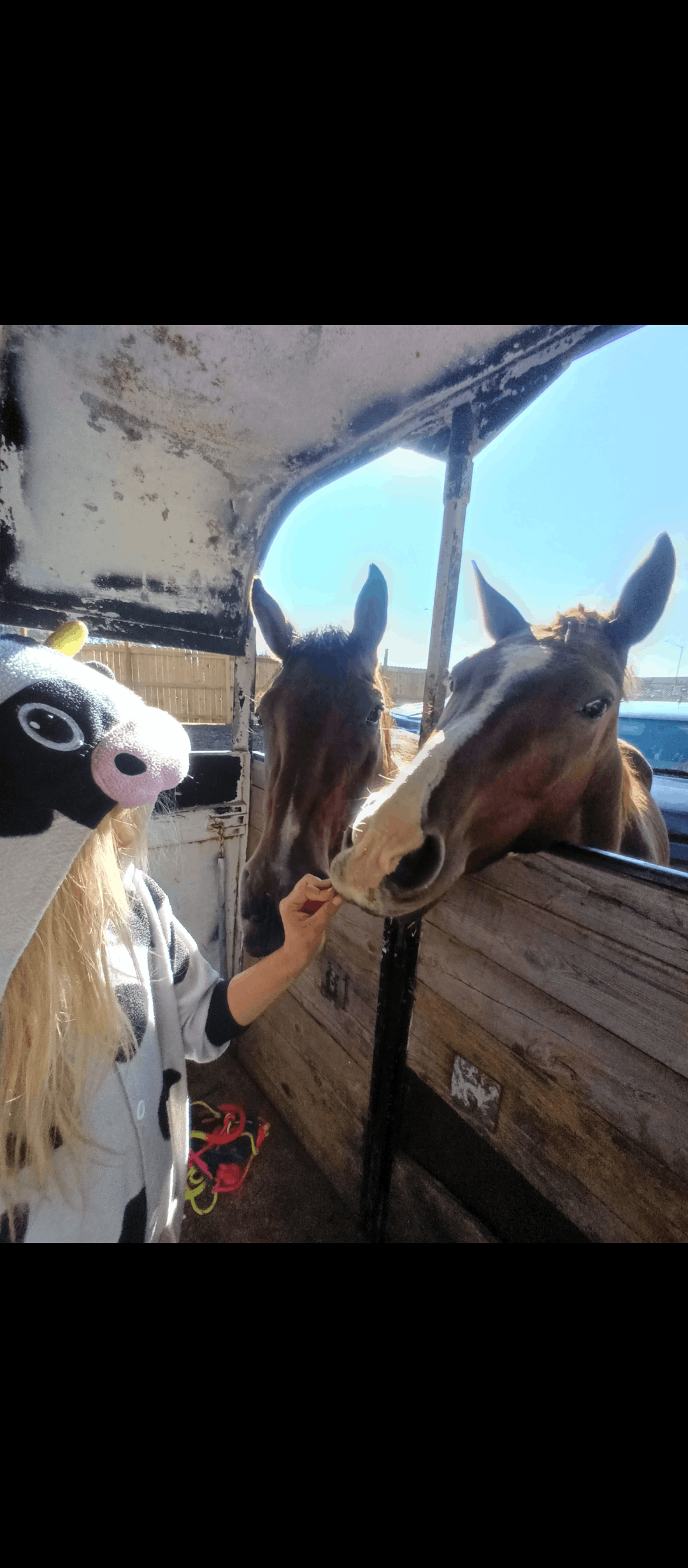 Tennessee Thompson Wild Rescue Ranch Inc