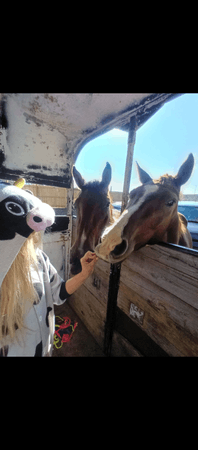 Tennessee Thompson Wild Rescue Ranch Inc