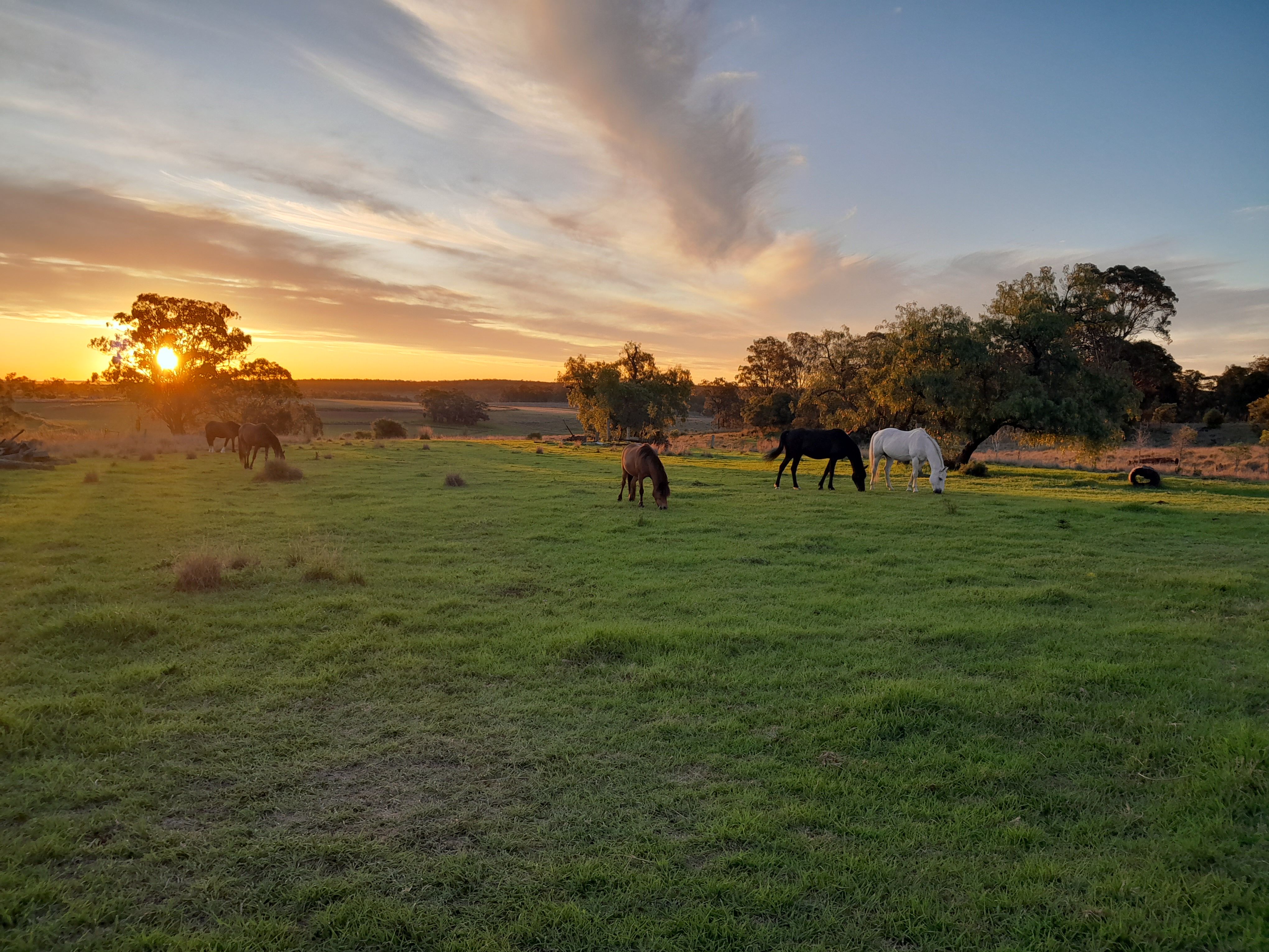 Outback Instincts Ltd