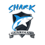 Shark Guardian