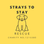 Strays To Stay