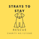 Strays To Stay