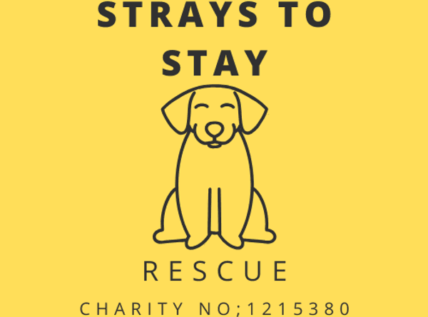 Strays To Stay