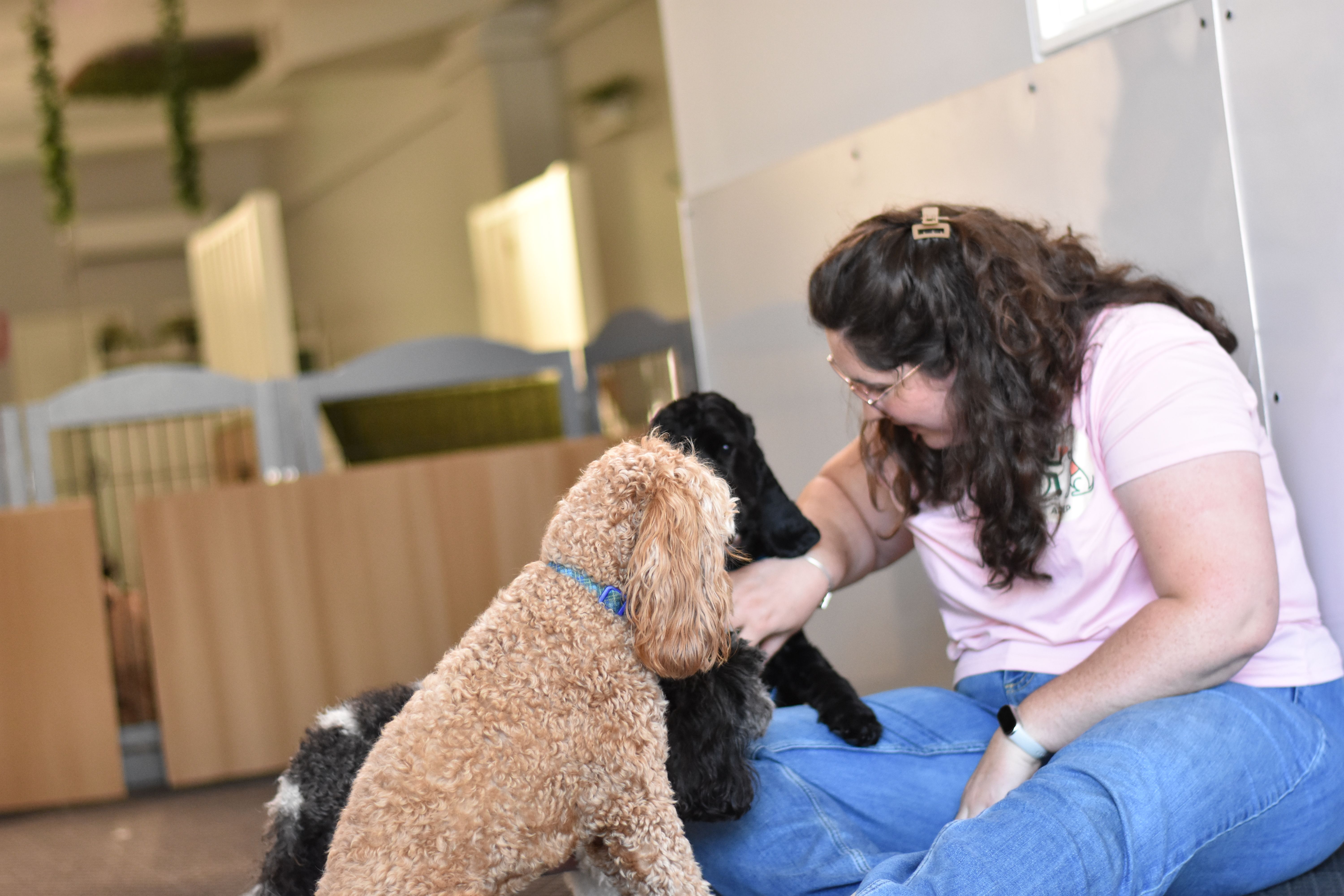 Assistance Dogs Empowering People