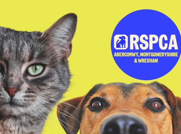 RSPCA Aberconwy, Montgomeryshire & Wrexham