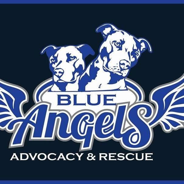 Blue Angels Advocacy and Rescue