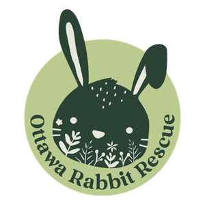 Ottawa Rabbit Rescue & Welfare Network
