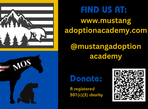 Mustang Adoption Academy