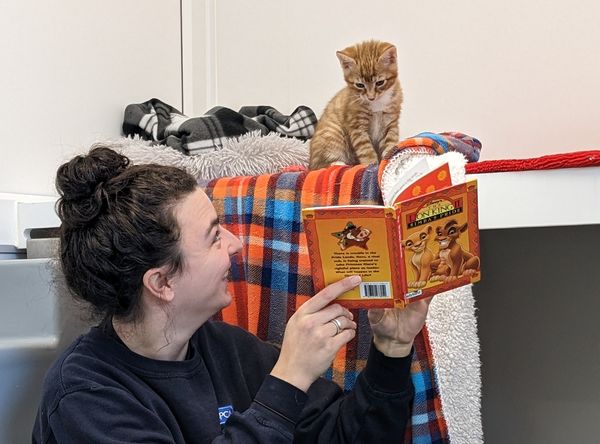 RSPCA Sussex Branch CIO