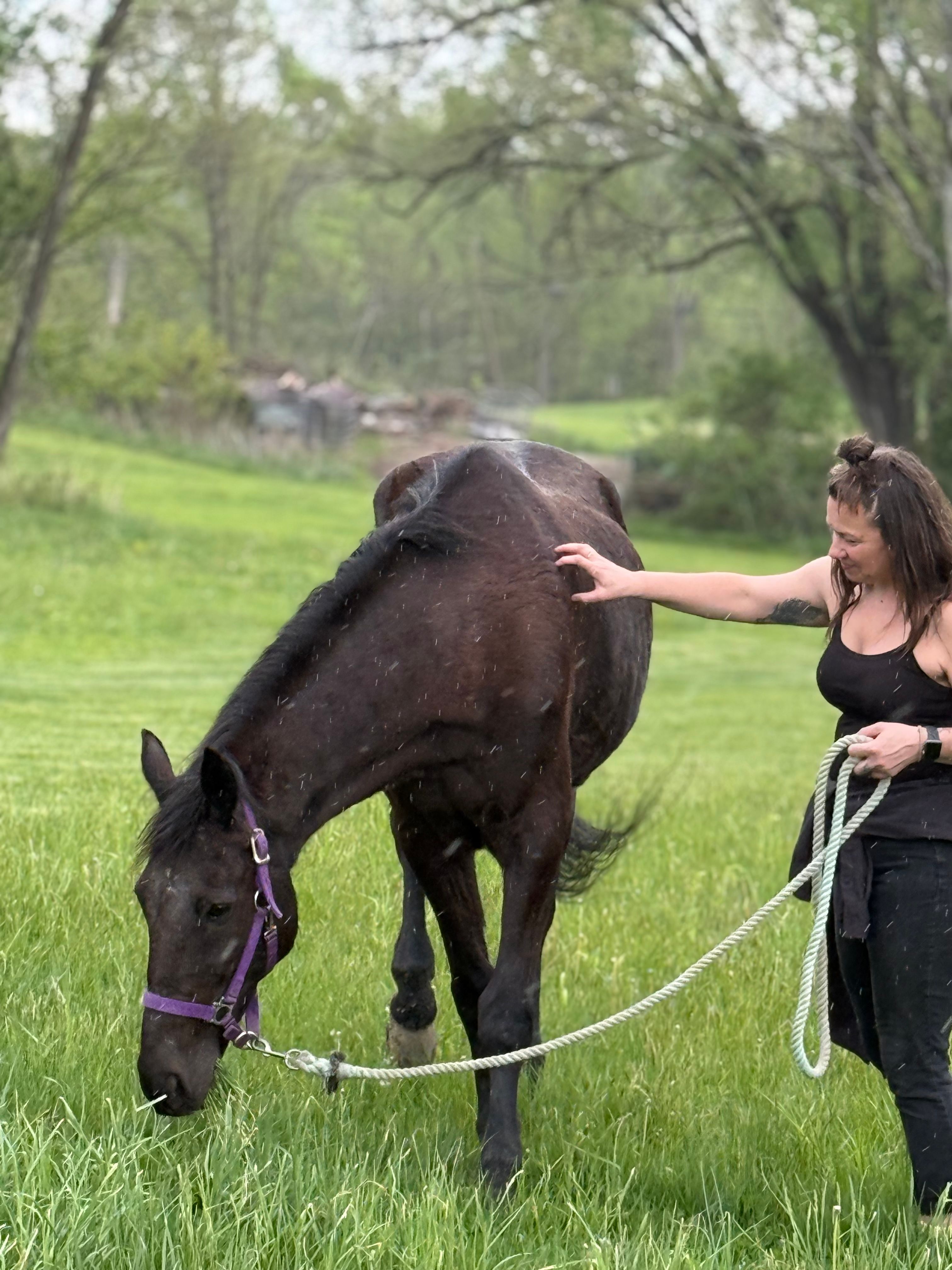 The Farm Animal Rescue and Rehab