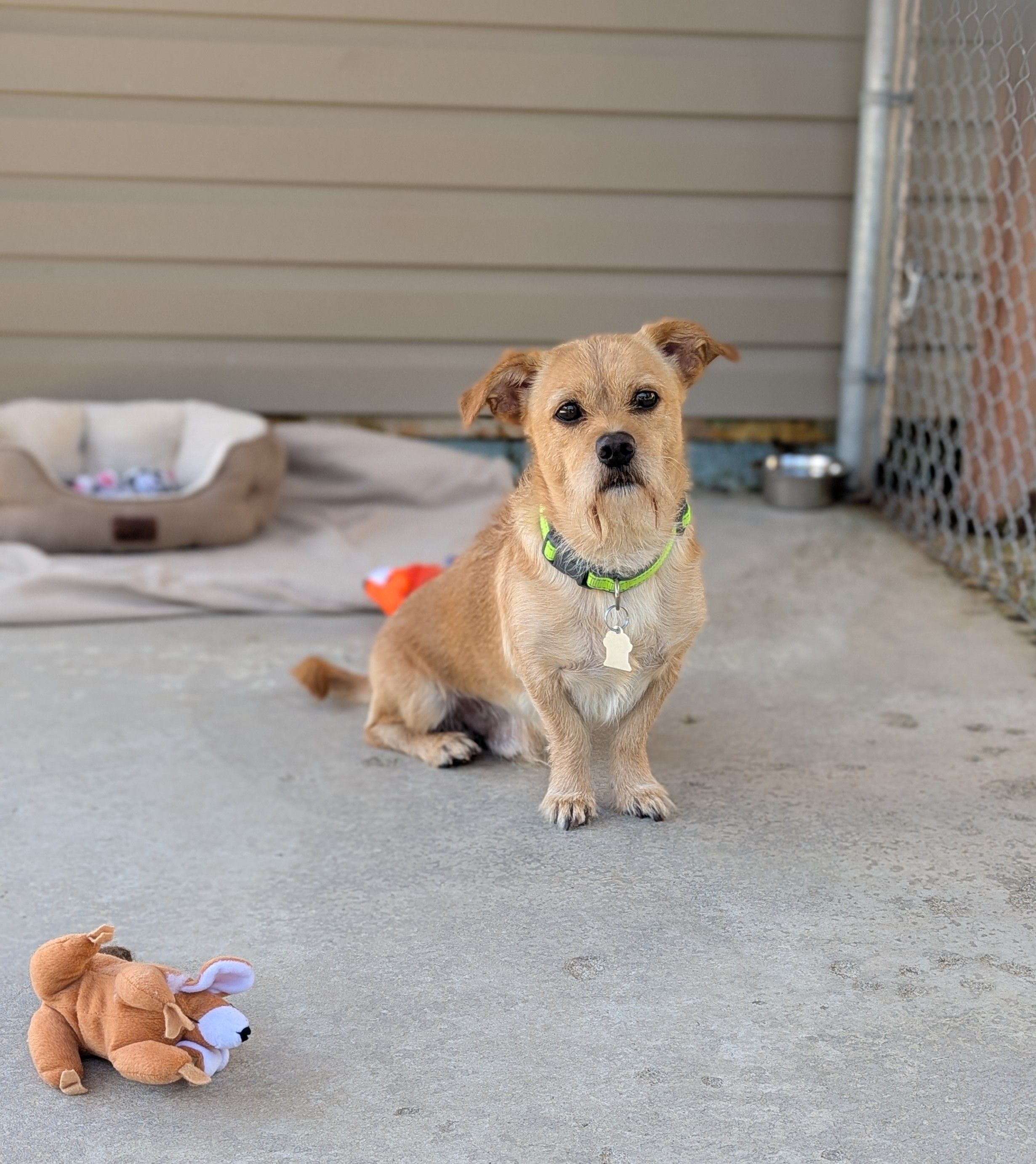 Restigouche County SPCA