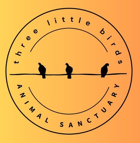 Three Little Birds Animal Sanctuary and Healing Space