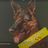 Leica's Saving Paws