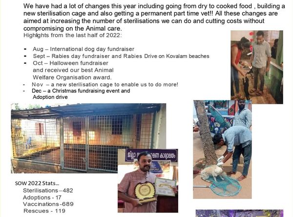 Streetdogwatch kerala