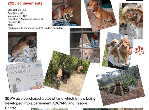 Streetdogwatch kerala