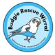 Budgie Rescue Wirral