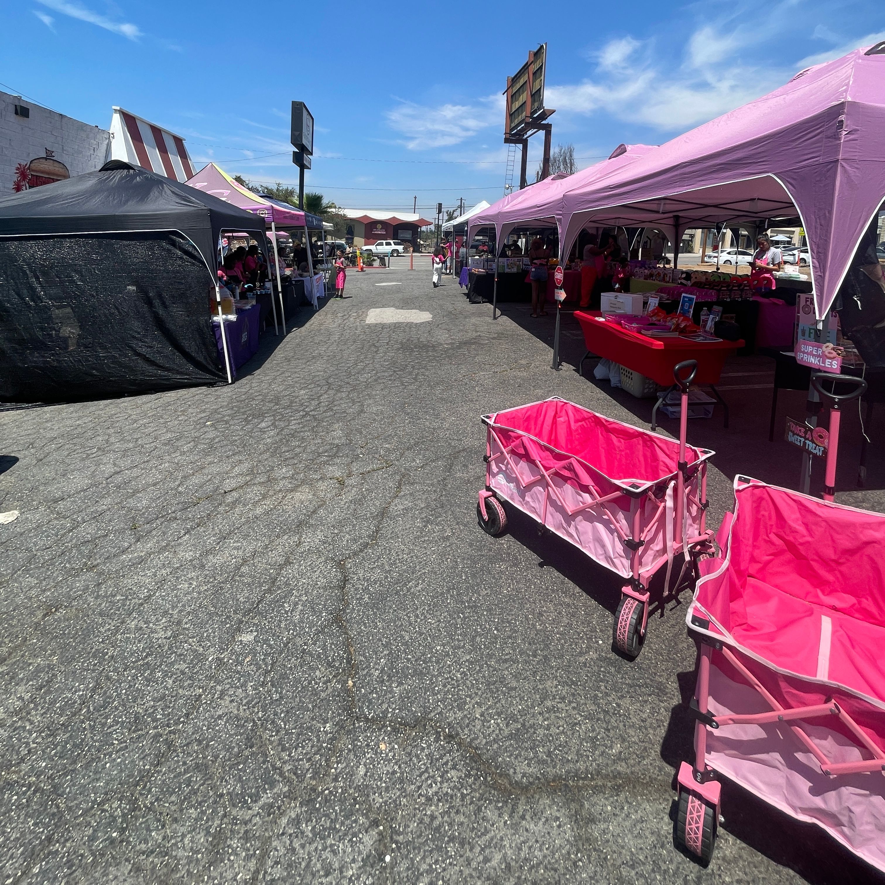 The Juicy Little Society