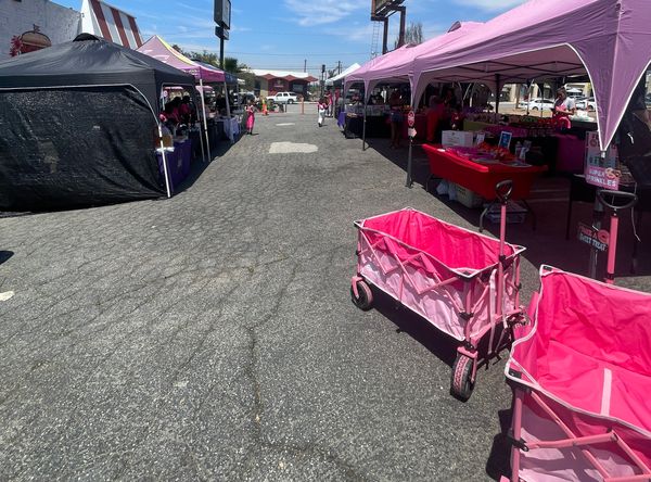 The Juicy Little Society