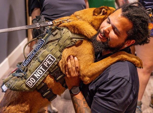 K9s For Warriors, Inc.