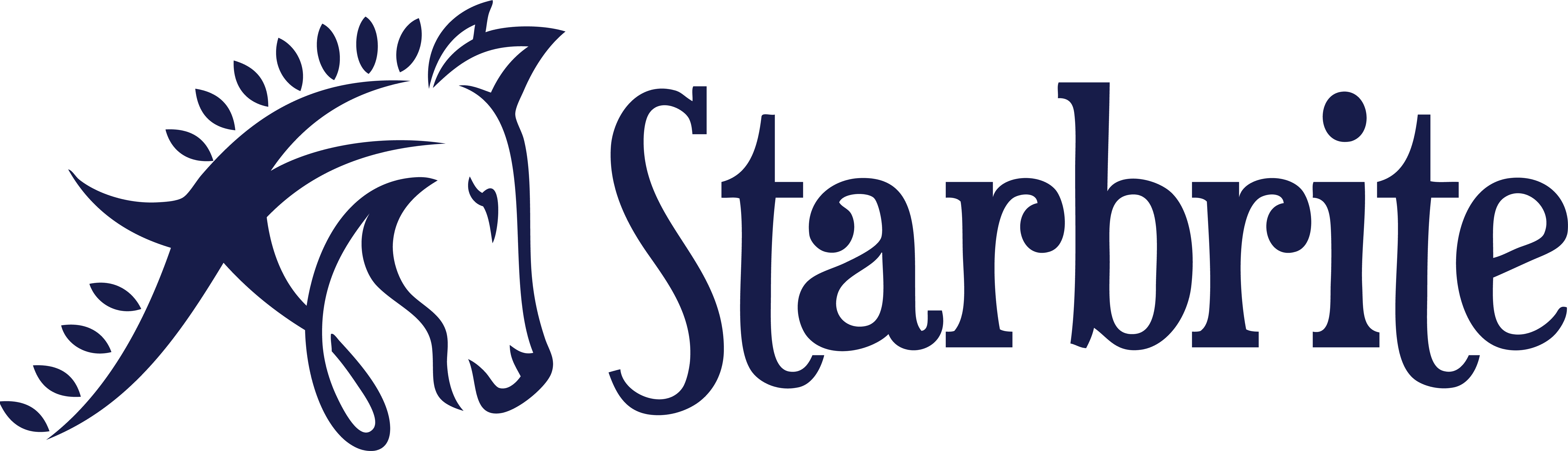 Starbrite Therapeutic Equestrian Center