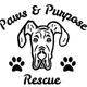 Paws and Purpose Rescue