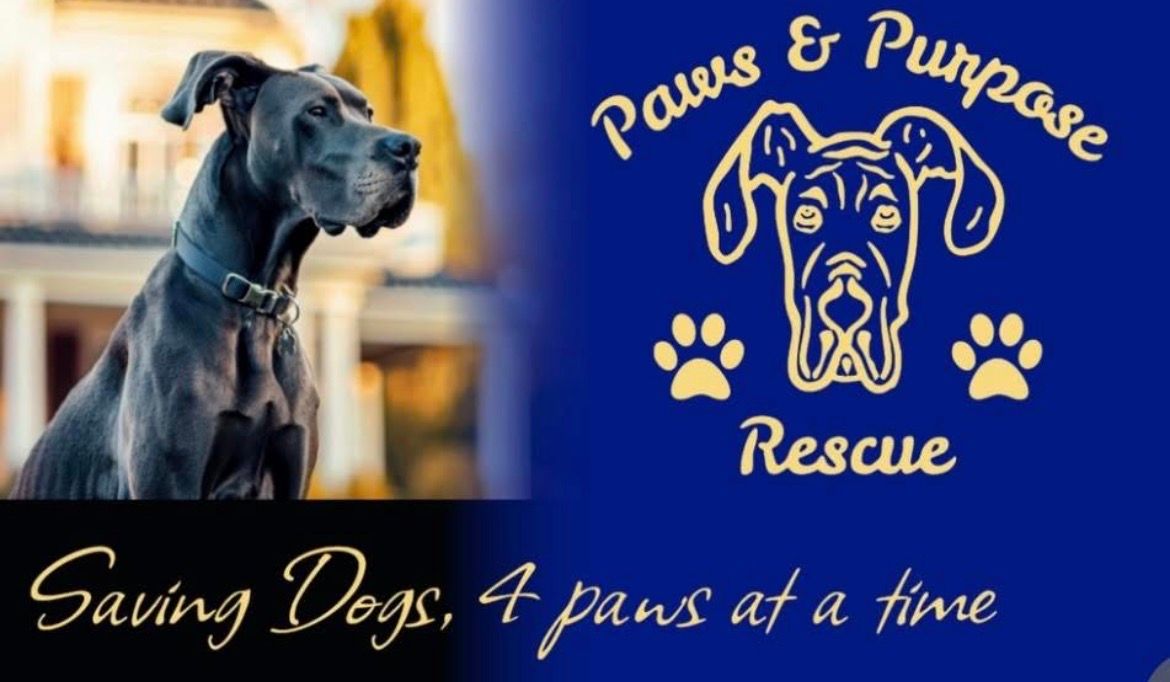 Paws and Purpose Rescue