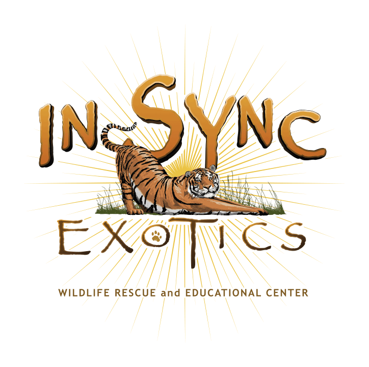 InSync Exotics Inc