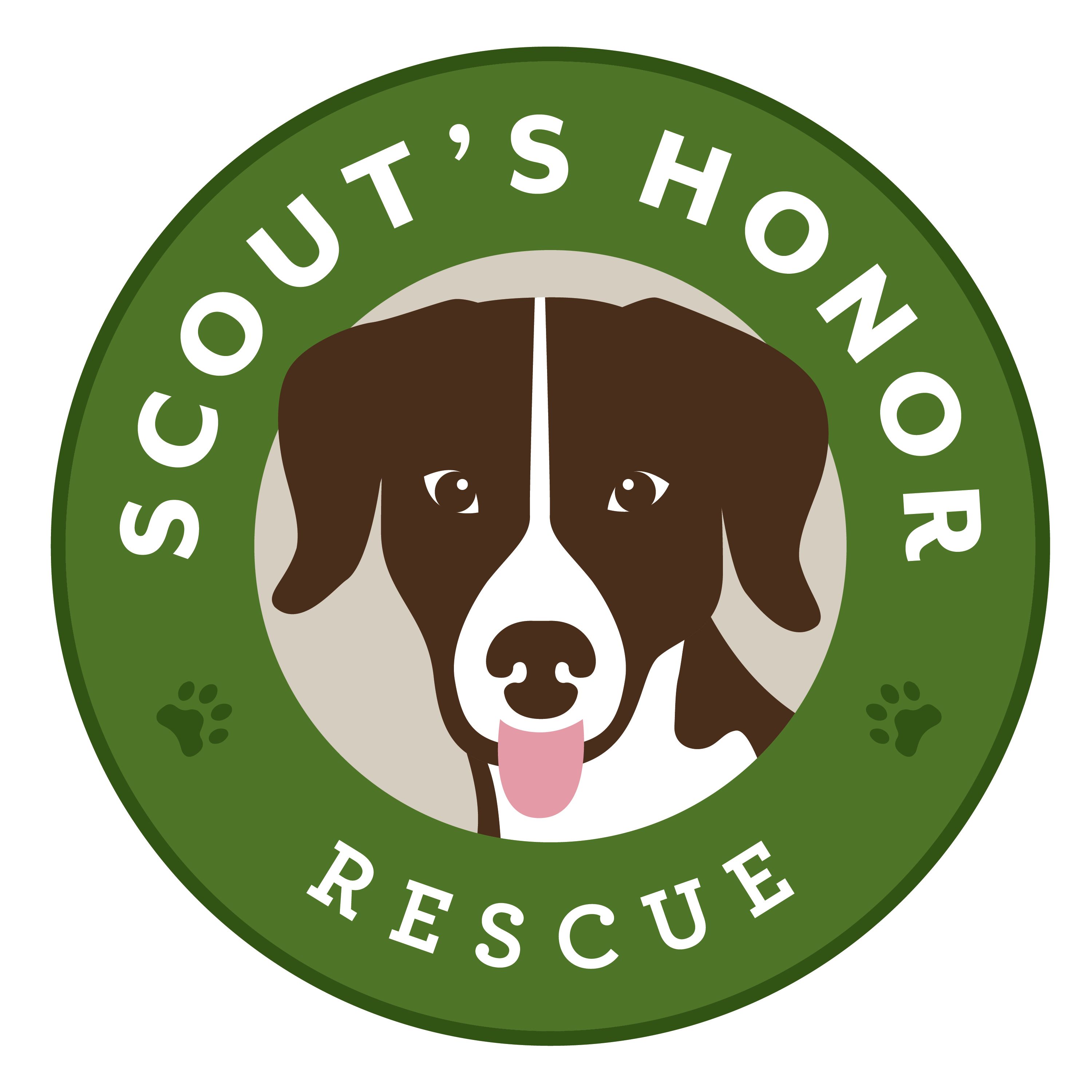 Scout’s Honor Rescue