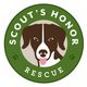 Scout’s Honor Rescue