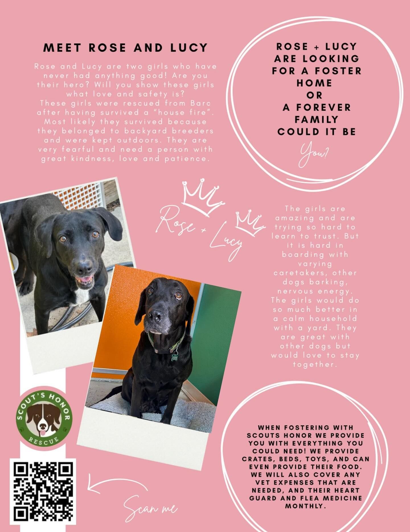 Scout’s Honor Rescue