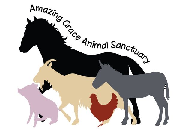 Amazing Grace Animal Sanctuary