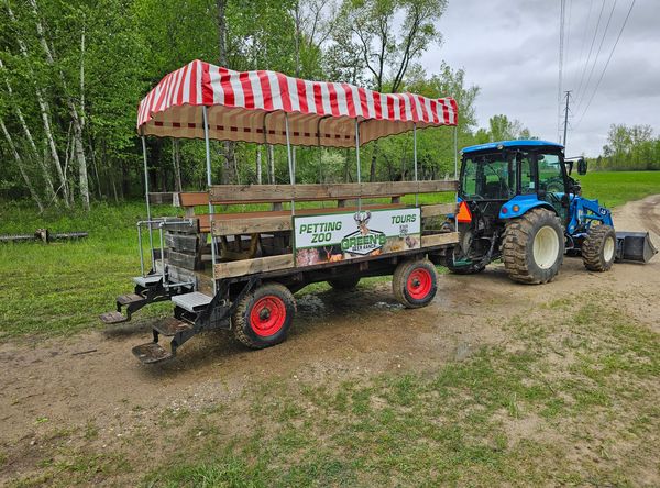 Green's Deer Ranch Zoo and Tours