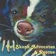 Pet Skunk Advocates and Rescue
