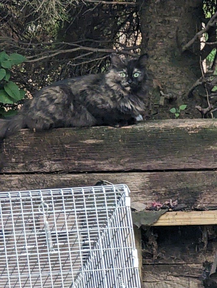 Johnstown Animal Welfare Society