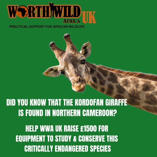 Worth Wild Africa UK