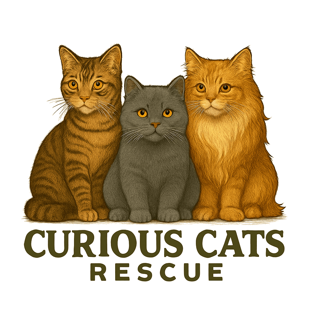 Curious Cats Rescue Incorporated