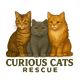 Curious Cats Rescue Incorporated
