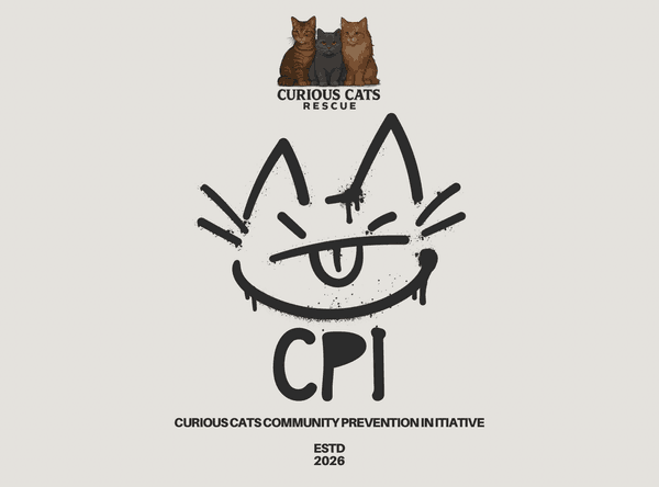 Curious Cats Rescue Incorporated