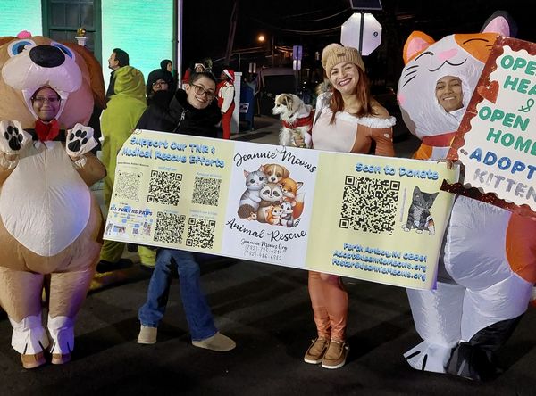 Jeannie Meows Animal Rescue