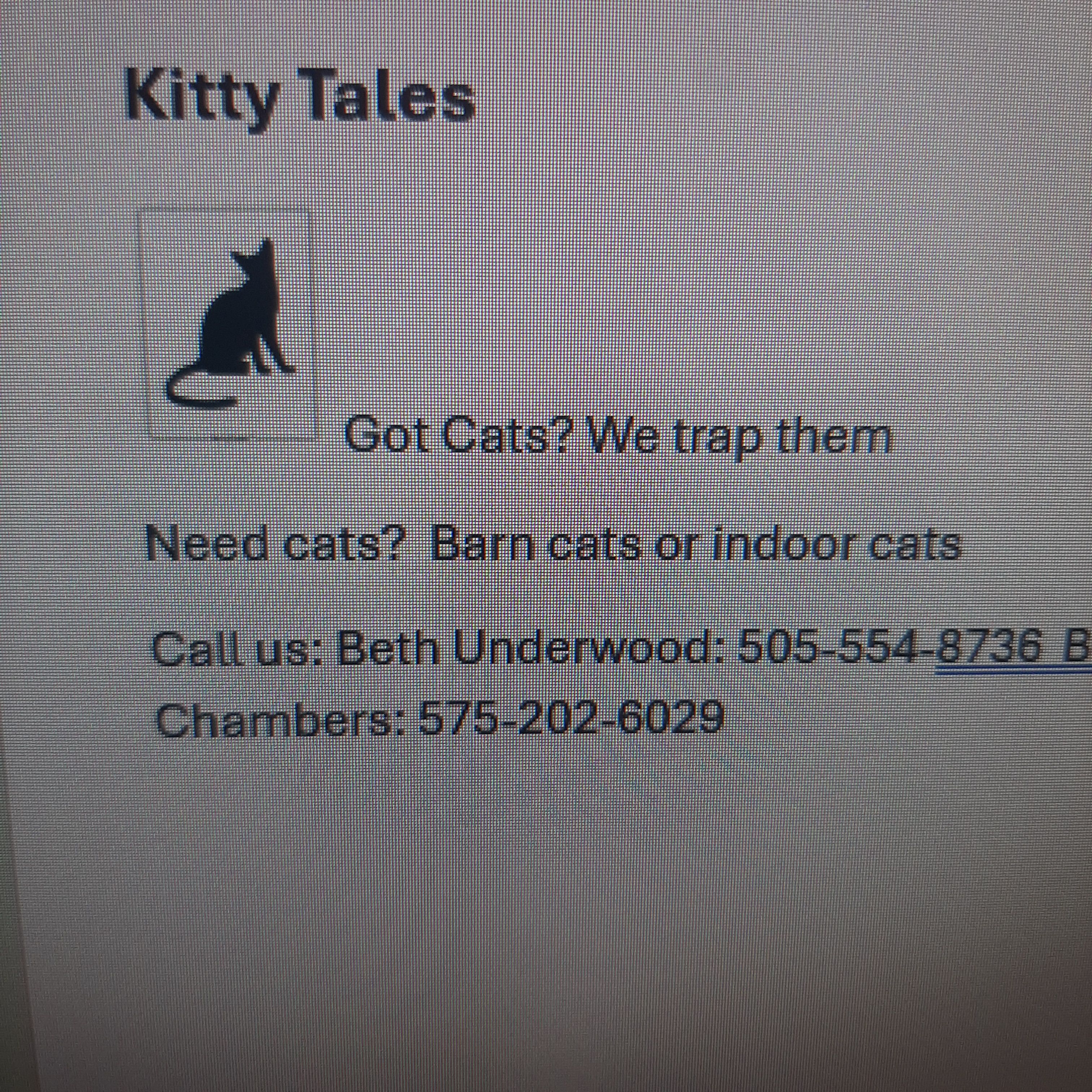 Kitty Tales