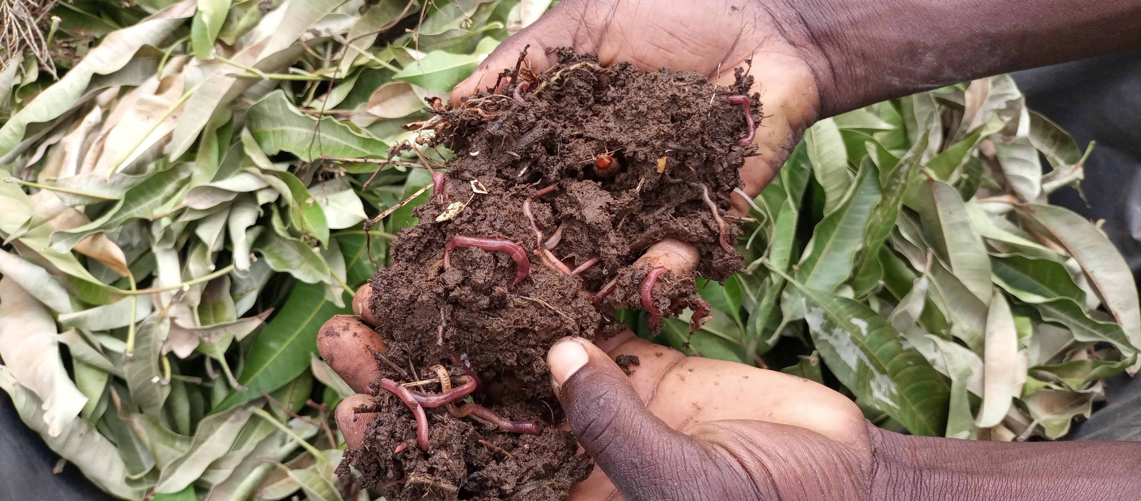 Farmers Alliance for Restoration