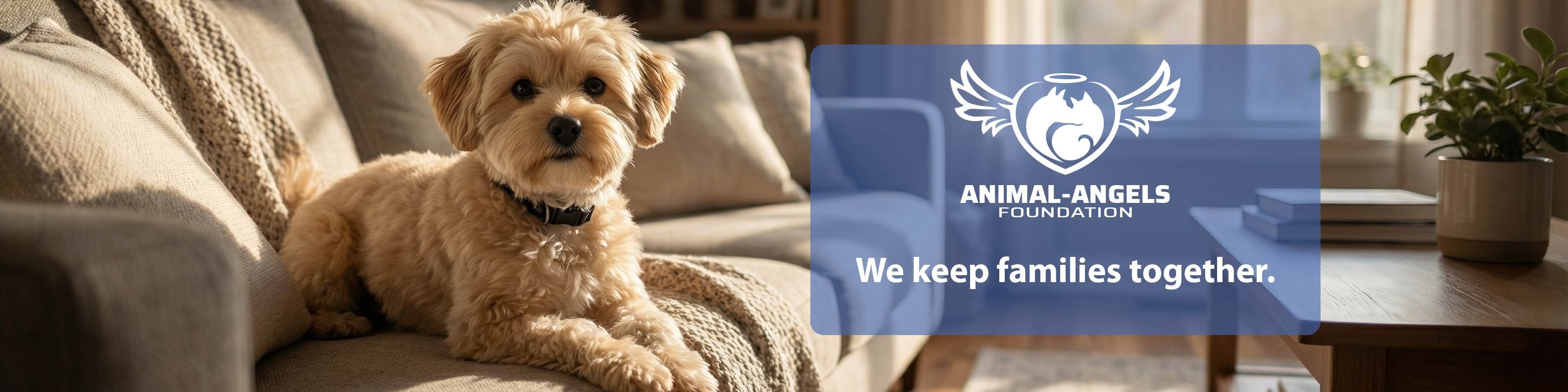 Animal-Angels Foundation