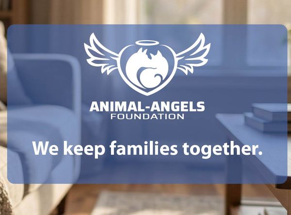 Animal-Angels Foundation