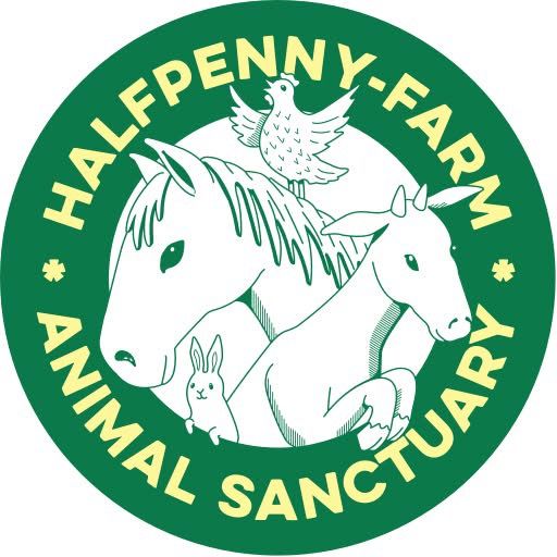 Halfpenny farm animal sanctuary