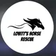 Lovitts Horse Rescue