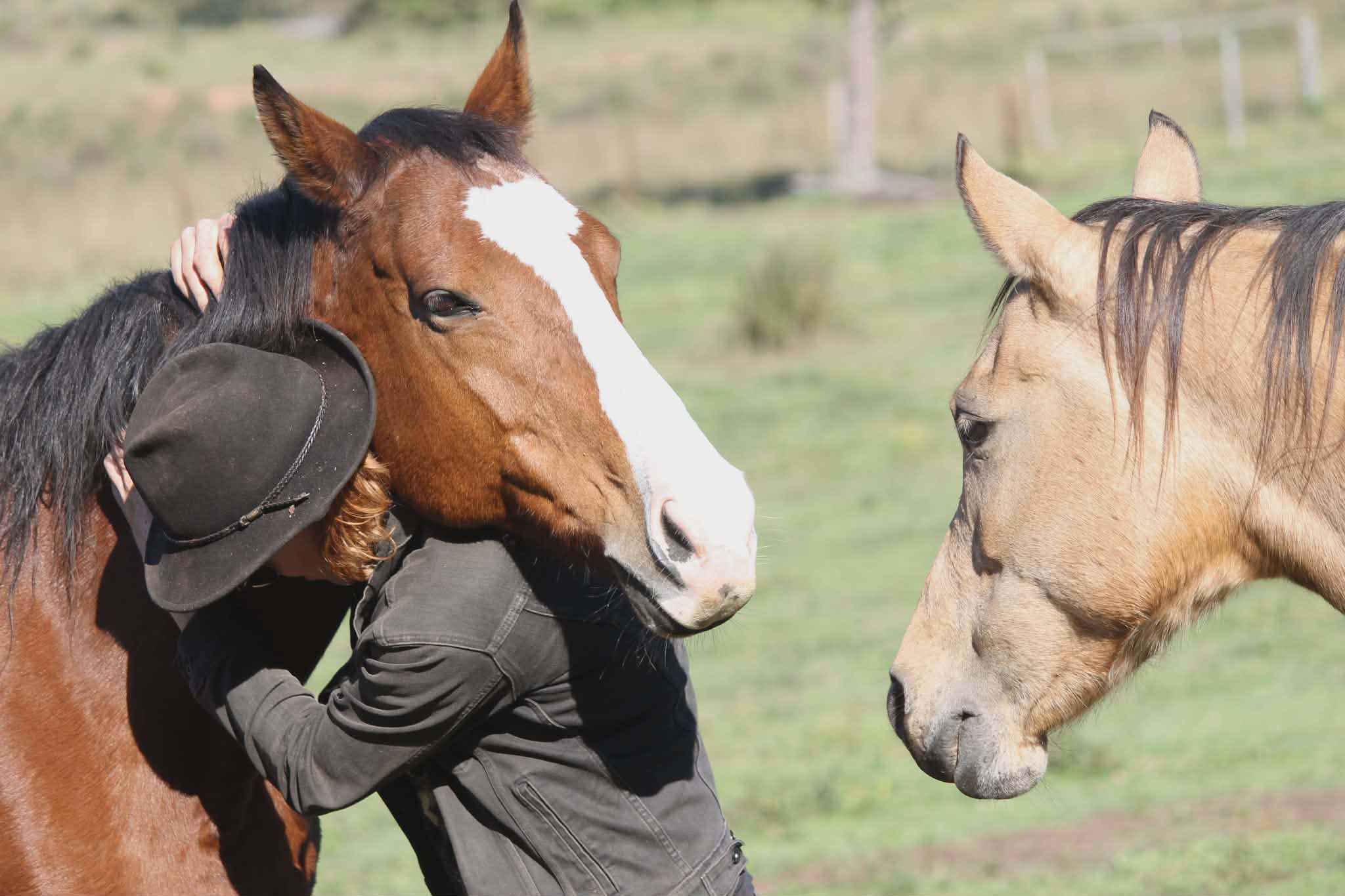 Herd On The Ridge Inc
