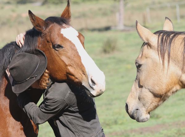 Herd On The Ridge Inc