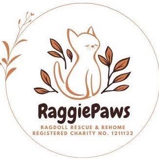 RaggiePaws Ragdoll Rescue and Rehome