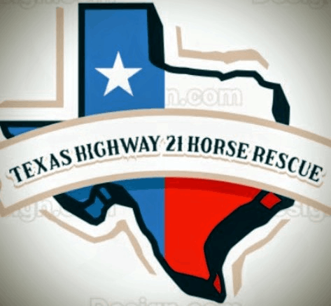Texas Highway 21 Horse Rescue