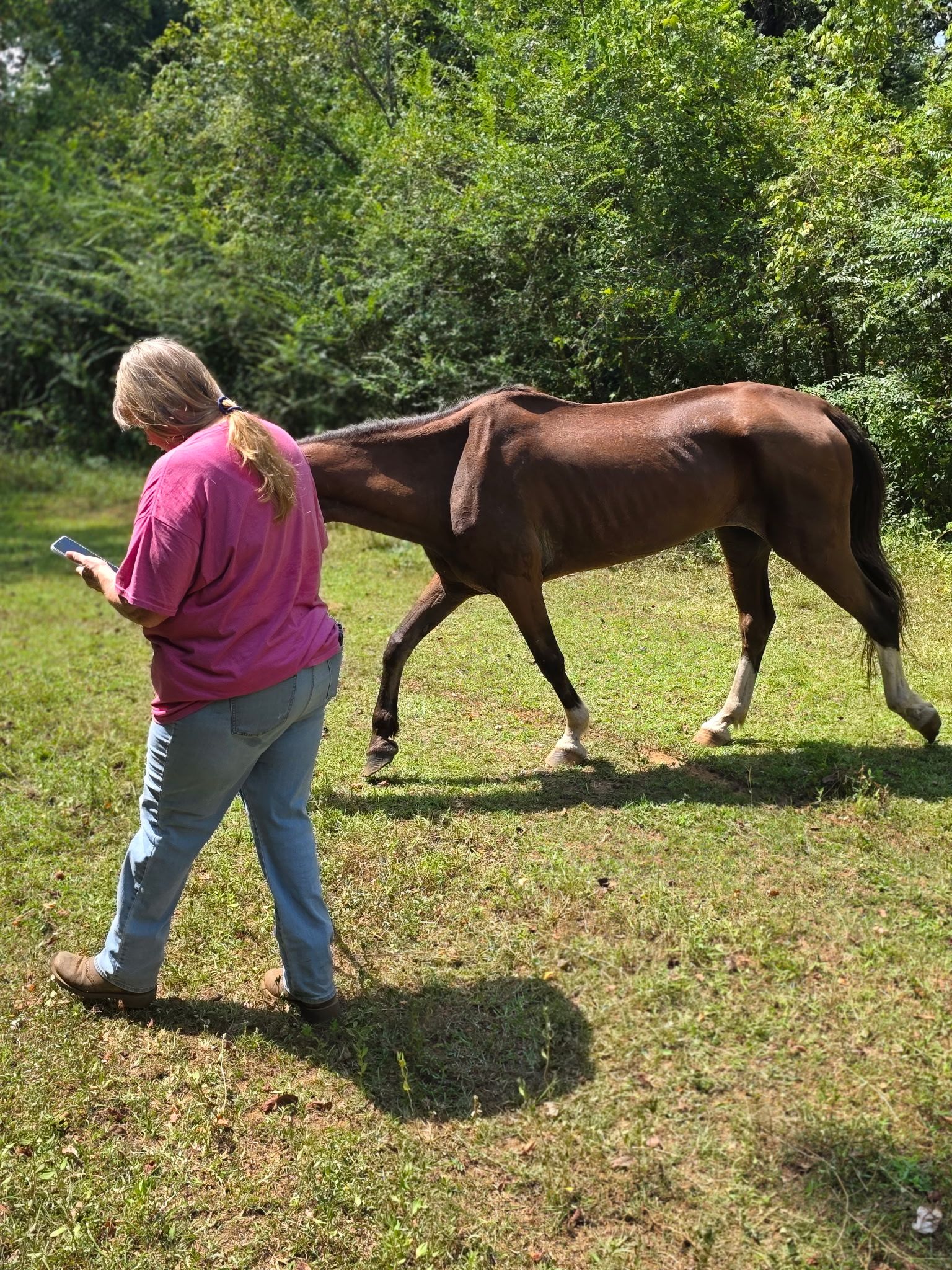 Texas Highway 21 Horse Rescue